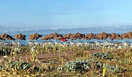 Giglio Di Mare *